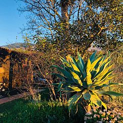 Casa Rural Doña Herminda