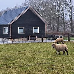 Vakantiehuis in Haarle