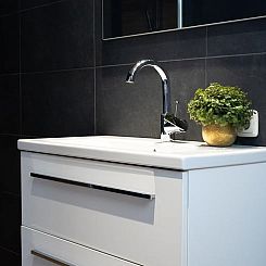 Vakantiehuis in Bruchterveld