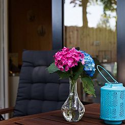 Vakantiehuis in Bruchterveld