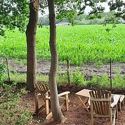 Vakantiehuisje in Lemelerveld