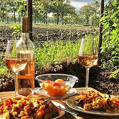 Vakantiehuisje in Lemelerveld