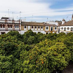 Hotel Boutique Elvira Plaza