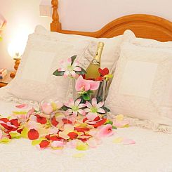 EmyCanarias Holiday Homes Vecindario