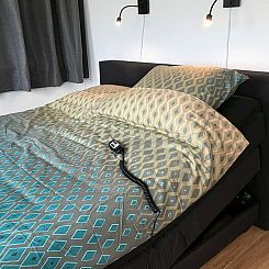 Vakantiehuis in Cothen