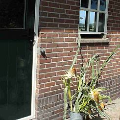 Vakantiehuisje in Achterveld