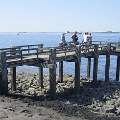 Vakantiehuis am Meer in Zeeland