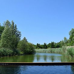 VZ2349 Appartement (bg) in Oostkapelle