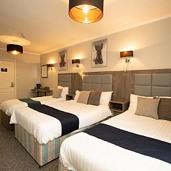Comfotel BLU
