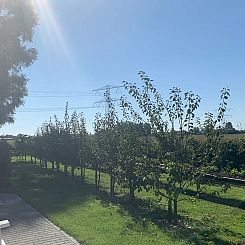 Vakantiehuisje in Ovezande