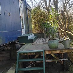 Vakantiehuisje in Wolphaartsdijk