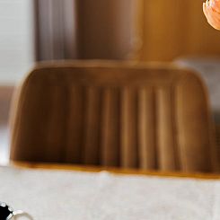 Vakantiehuisje in Lewedorp