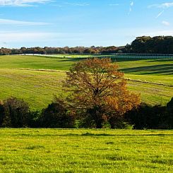 Holiday Inn Express London - Epsom Downs, an IHG Hotel