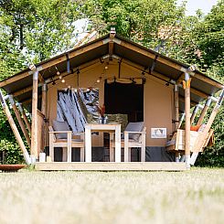 Safaritent Cozy (inclusief ontbijt)