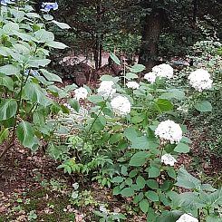 Vakantiehuis in Groesbeek