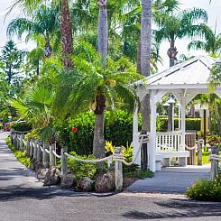 Tropical Beach Resorts - Sarasota