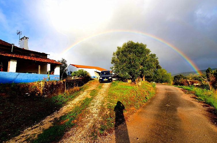 Baranca Stima