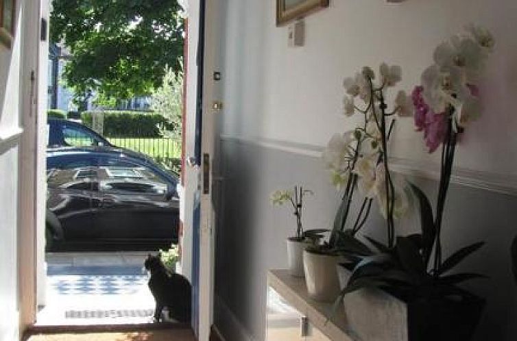 Holmewood Homestay