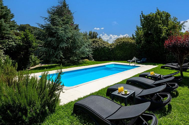 Vakantiehuis Delta Wellness Villa