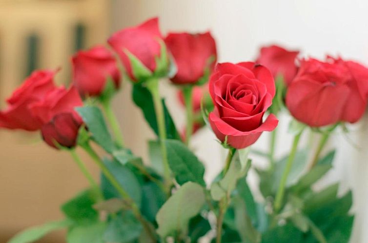 Hyde Park Serviced Rooms