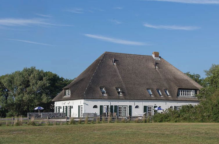 Type T-3 vakantiehuis in De Cocksdorp, Texel met rieten dak en landelijke omgeving.