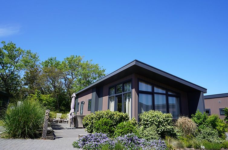 Unterkunft 010175 - Ferienhaus Texel - Lodge 29