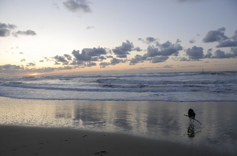 Wind en Zee