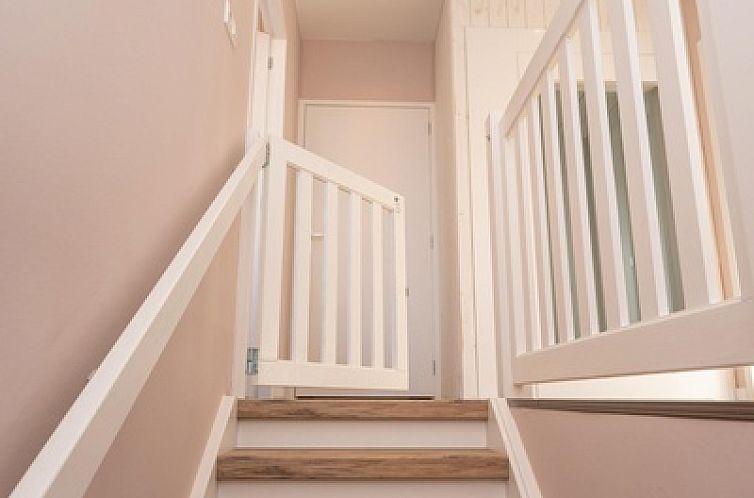 Mienterbos - Heideglop