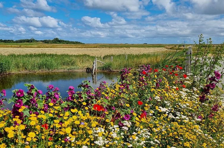 uitzicht ,'t Eylandt