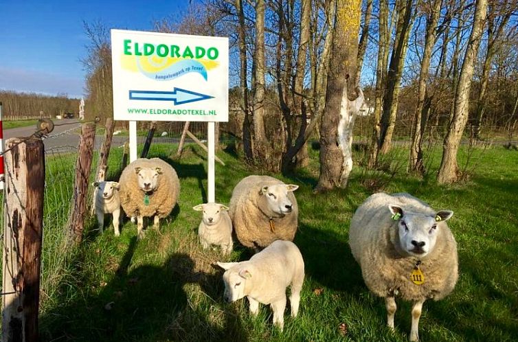 Landhuis Rietgedekt Eldorado Texel