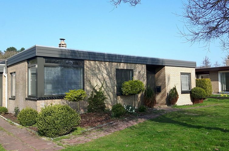 Orchismient 55, De Koog