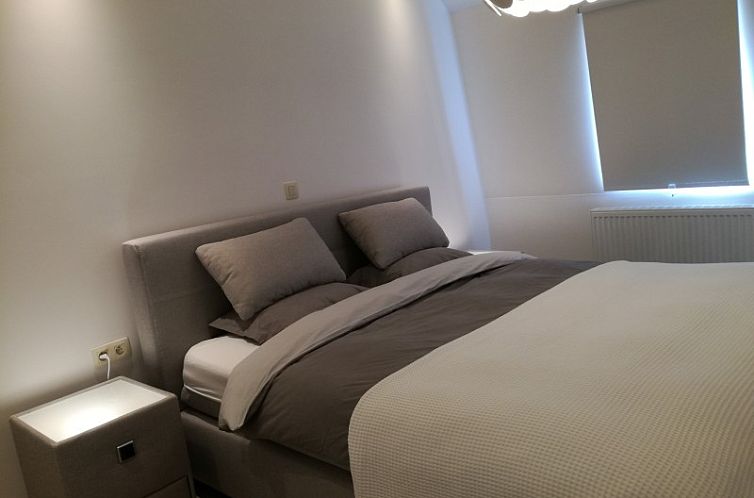 THE FRONT DOOR N°12