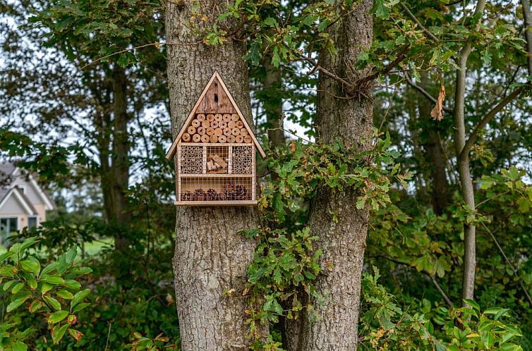 36 - 12 Bonte Specht - BLV allotment nr 4