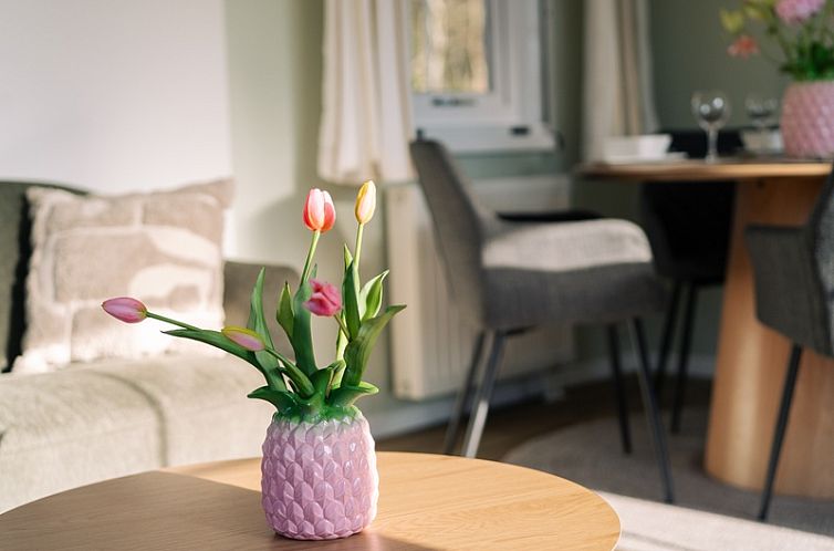 Chaletpark Bregkoog - Chalet Bregkoog 24