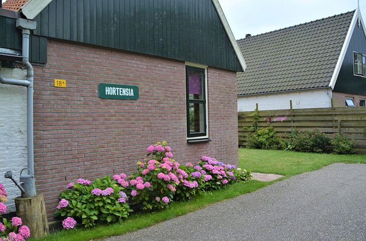 Front view of vacation home Hortensia in De Waal, Texel, with colorful hydrangeas.