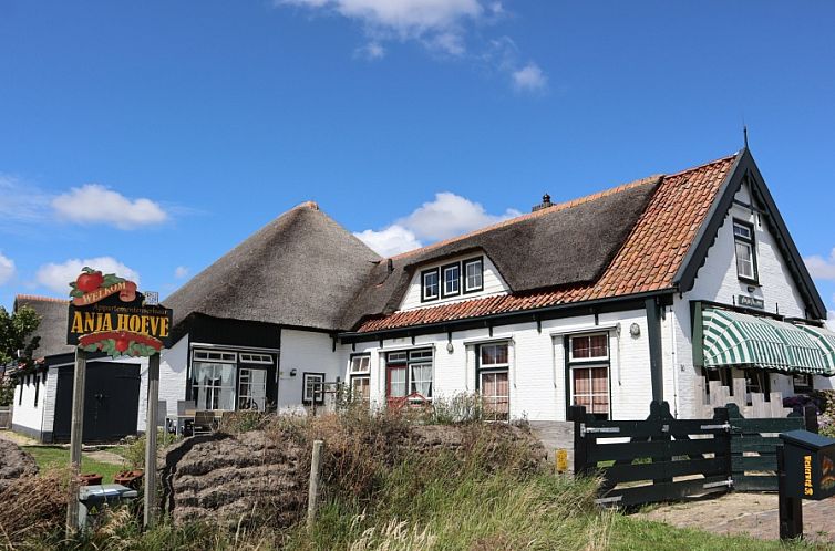 Charming Apartment Yellow in Den Hoorn, Texel, located in a traditional farmhouse with thatched roof, surrounded by beautiful nature.