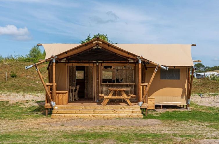 Unterkunft 010599 - Ferienhaus Texel - Safari Lodge