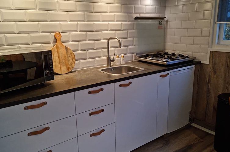 Bruinverhuurt Oudeschild