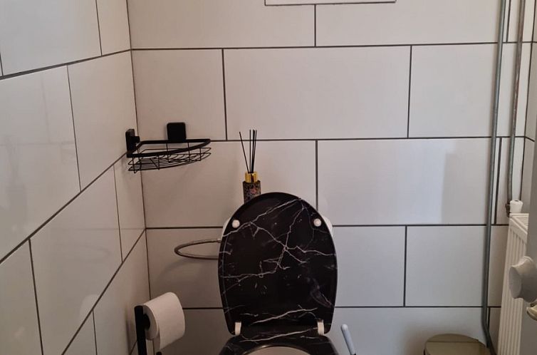 Bruinverhuurt Oudeschild