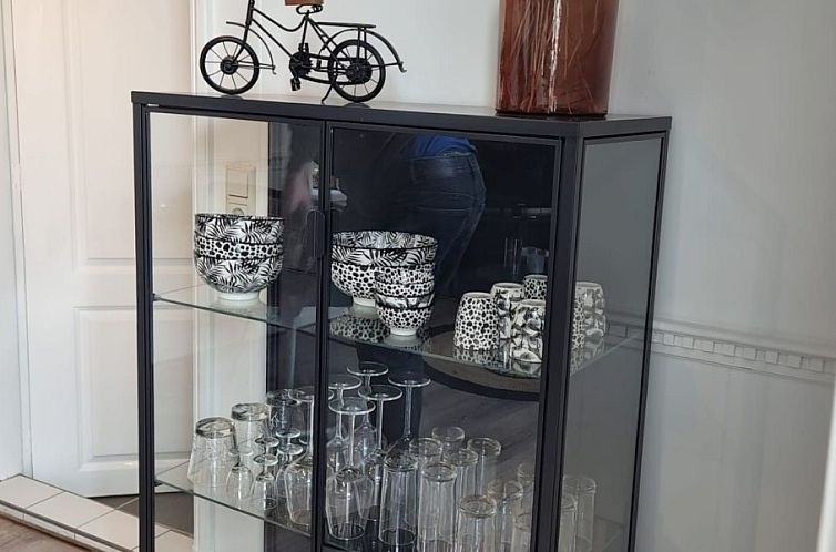 Bruinverhuurt Oudeschild