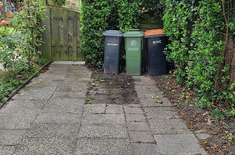 Bruinverhuurt Oudeschild