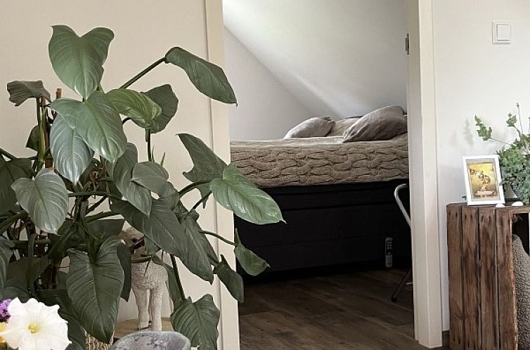B&B de witte punt Texel