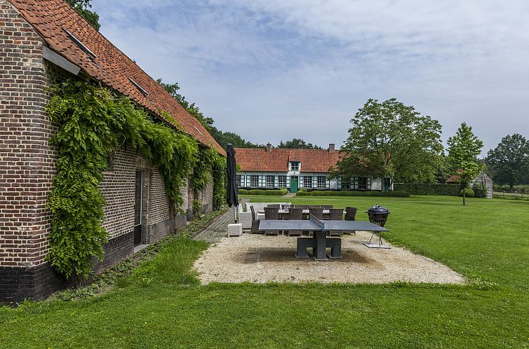 Stalvleugel