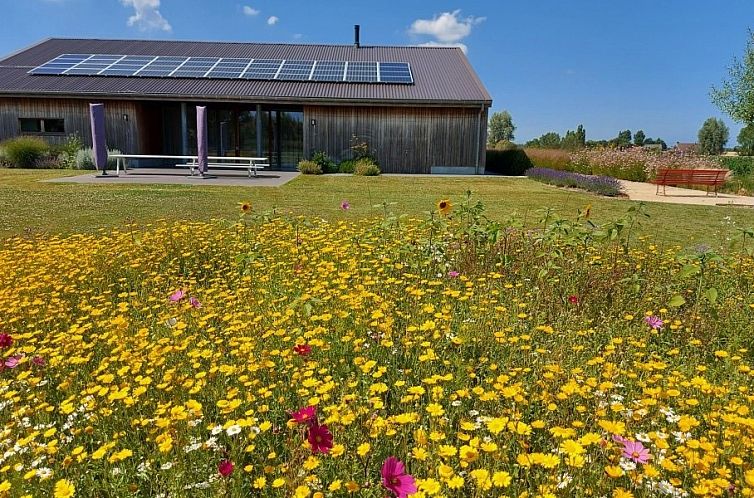 AKKERNEST vakantiehuis in Heuvelland met kleurrijke bloemenweide en zonnepanelen in West-Vlaanderen, Belgie.