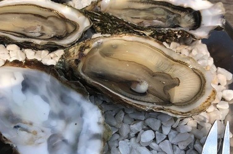 de haan vakantiewoning V28