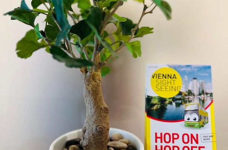 Pension Liechtenstein