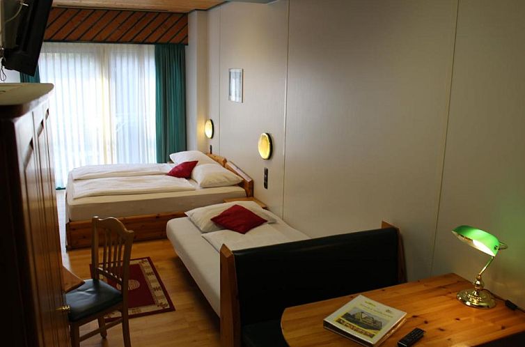 Hotel Asperner Löwe