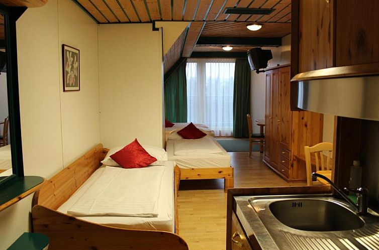 Hotel Asperner Löwe