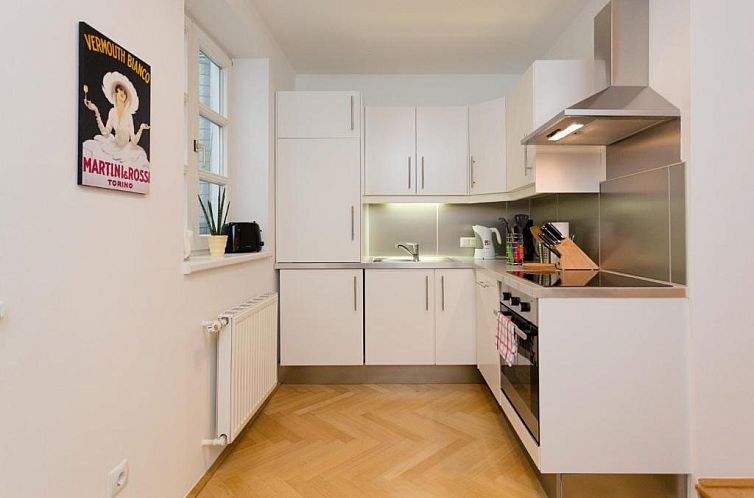 Vienna Apartment 1010