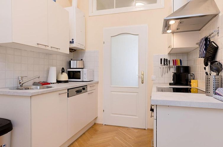 Vienna Apartment 1010